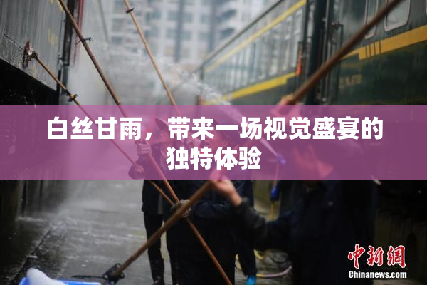 白丝甘雨，带来一场视觉盛宴的独特体验