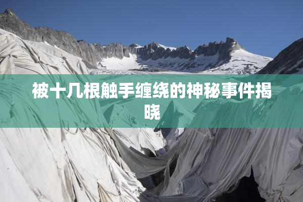 被十几根触手缠绕的神秘事件揭晓