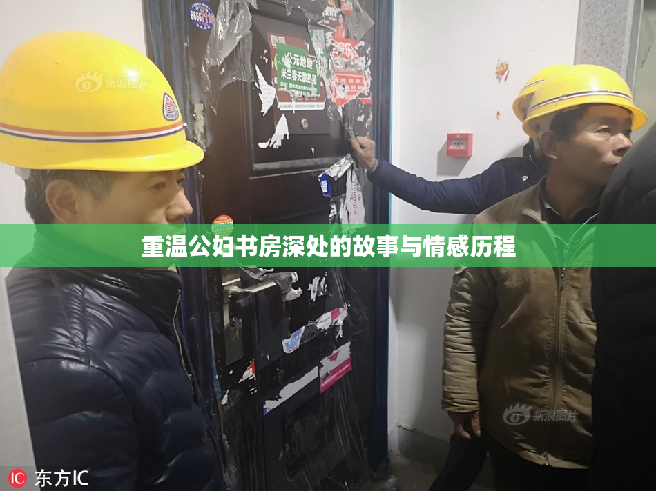 重温公妇书房深处的故事与情感历程