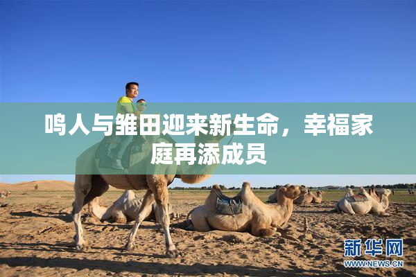 鸣人与雏田迎来新生命，幸福家庭再添成员