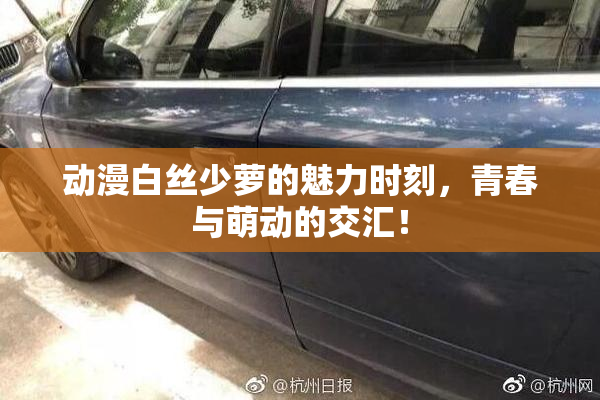 动漫白丝少萝的魅力时刻，青春与萌动的交汇！