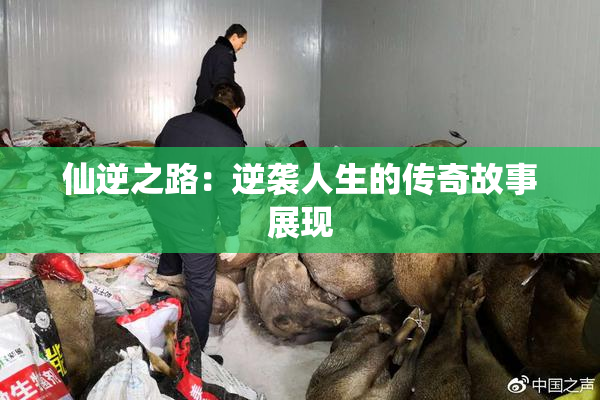 仙逆之路：逆袭人生的传奇故事展现