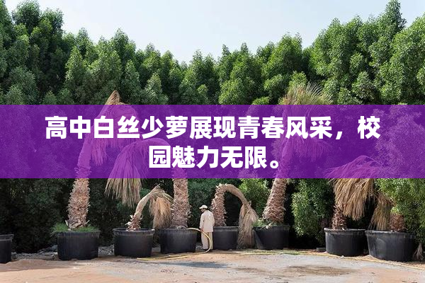 高中白丝少萝展现青春风采，校园魅力无限。