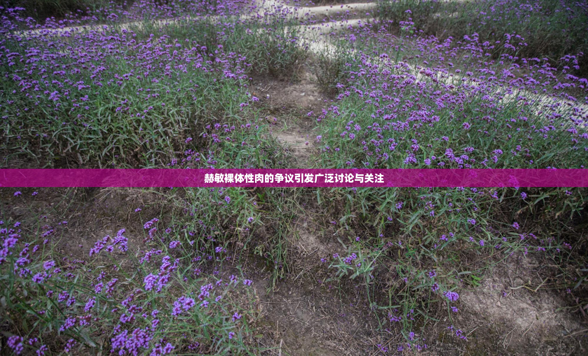 赫敏裸体性肉的争议引发广泛讨论与关注