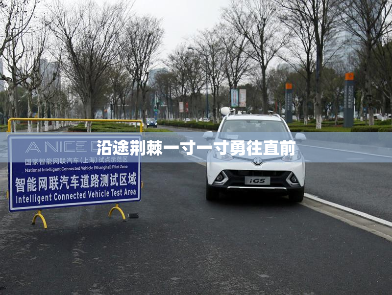 沿途荆棘一寸一寸勇往直前