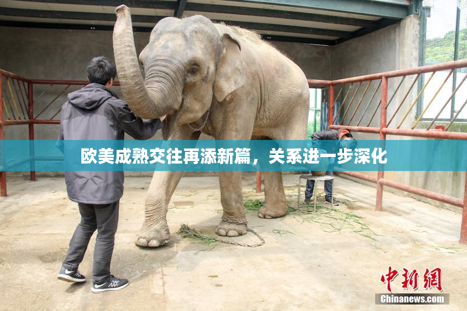 欧美成熟交往再添新篇，关系进一步深化