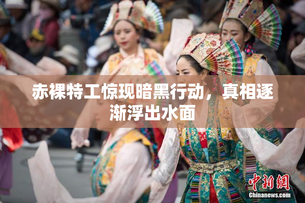 赤裸特工惊现暗黑行动，真相逐渐浮出水面