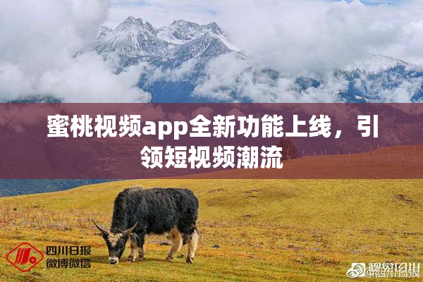 蜜桃视频app全新功能上线，引领短视频潮流