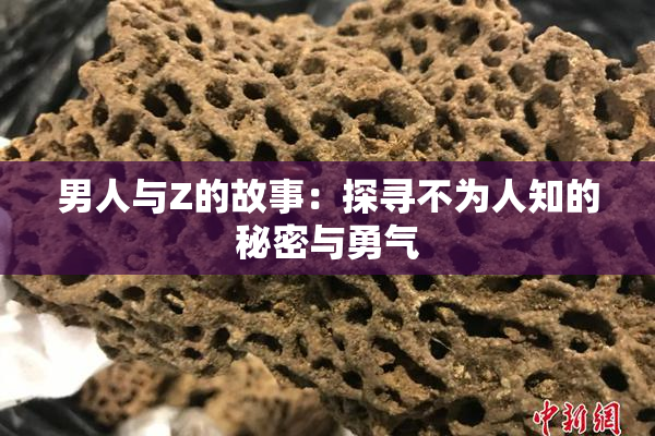 男人与Z的故事：探寻不为人知的秘密与勇气