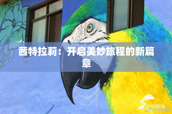茜特拉莉：开启美妙旅程的新篇章