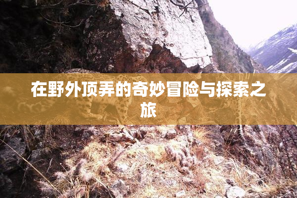 在野外顶弄的奇妙冒险与探索之旅