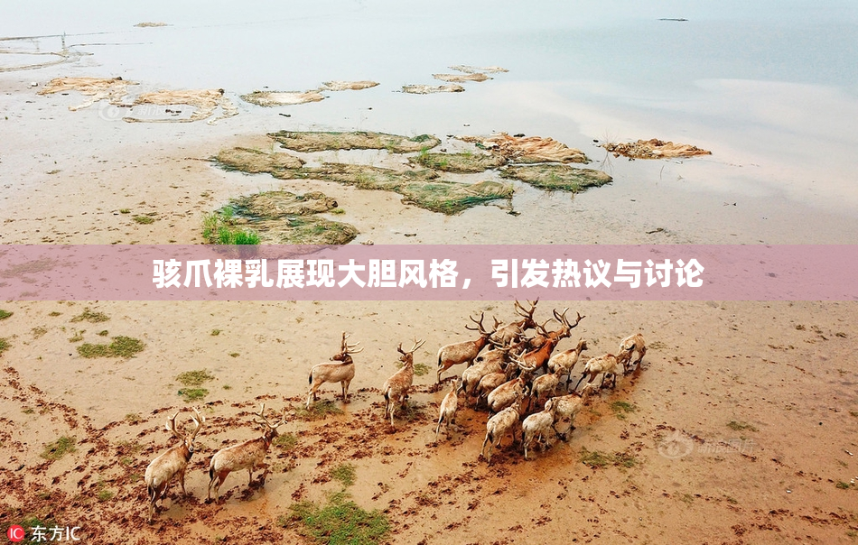 骇爪裸乳展现大胆风格，引发热议与讨论