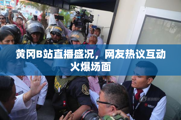 黄冈B站直播盛况，网友热议互动火爆场面