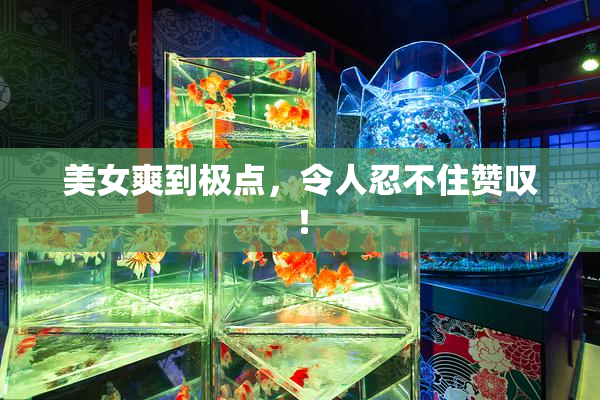 美女爽到极点，令人忍不住赞叹！