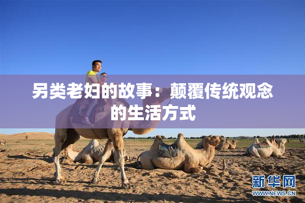 另类老妇的故事：颠覆传统观念的生活方式