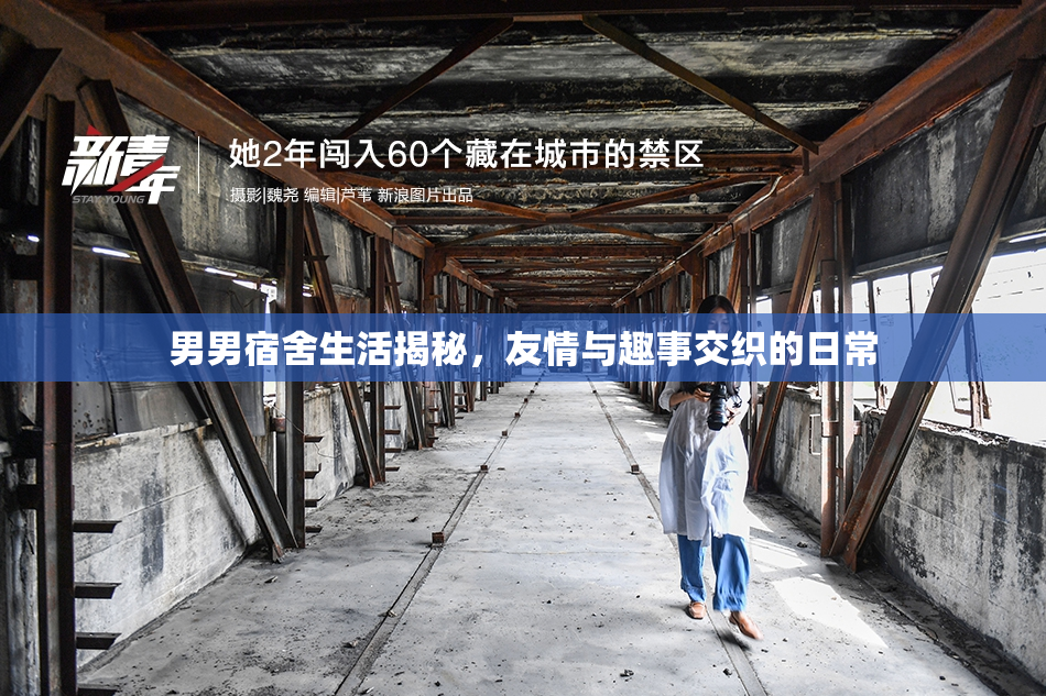 男男宿舍生活揭秘，友情与趣事交织的日常