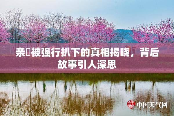 亲妺被强行扒下的真相揭晓，背后故事引人深思