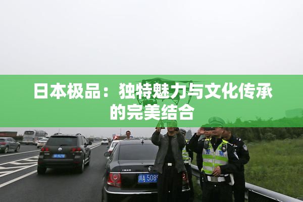 日本极品：独特魅力与文化传承的完美结合