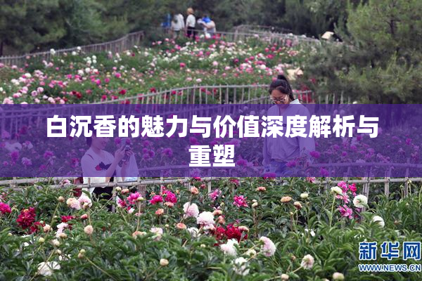 白沉香的魅力与价值深度解析与重塑