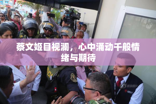 蔡文姬目视澜，心中涌动千般情绪与期待