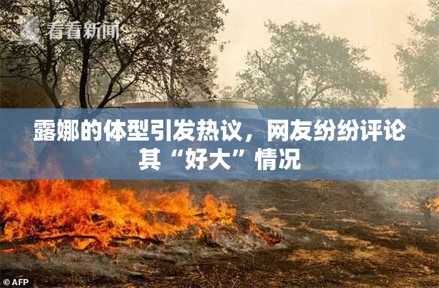 露娜的体型引发热议，网友纷纷评论其“好大”情况