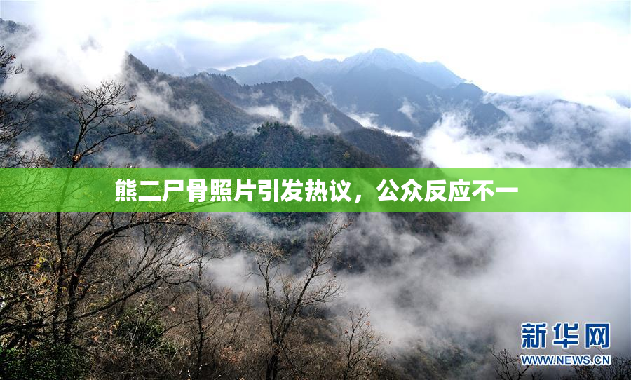 熊二尸骨照片引发热议，公众反应不一