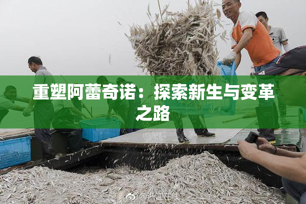 重塑阿蕾奇诺：探索新生与变革之路
