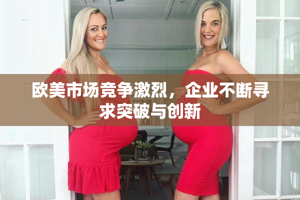 欧美市场竞争激烈，企业不断寻求突破与创新
