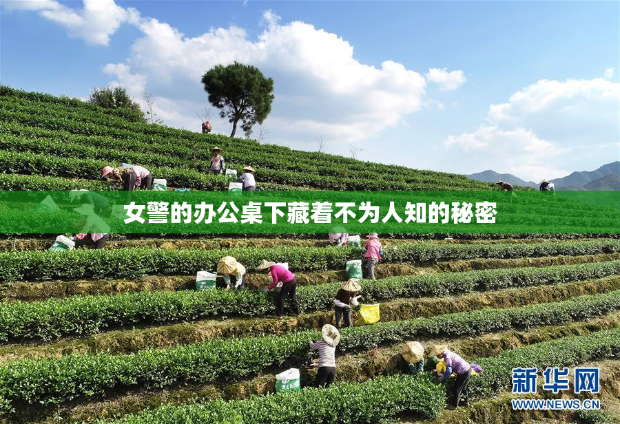 女警的办公桌下藏着不为人知的秘密