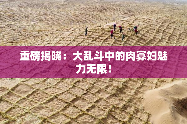 重磅揭晓：大乱斗中的肉寡妇魅力无限！