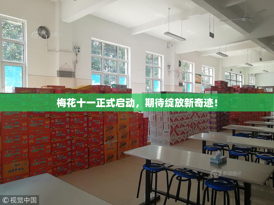 梅花十一正式启动，期待绽放新奇迹！