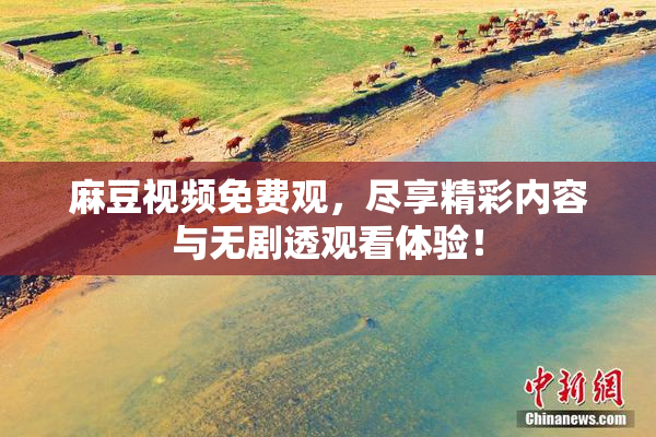 麻豆视频免费观，尽享精彩内容与无剧透观看体验！