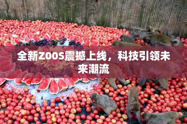 全新Z00S震撼上线，科技引领未来潮流