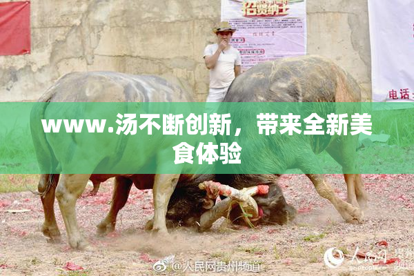 www.汤不断创新，带来全新美食体验