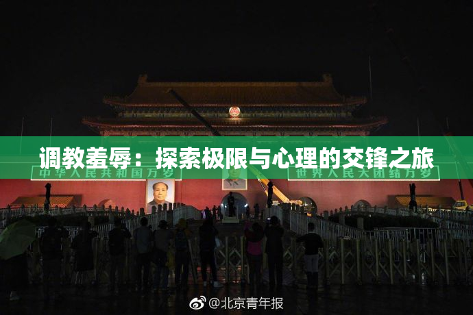 调教羞辱：探索极限与心理的交锋之旅