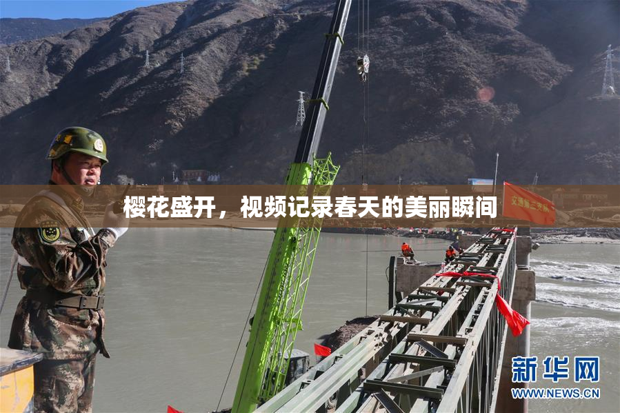 樱花盛开，视频记录春天的美丽瞬间