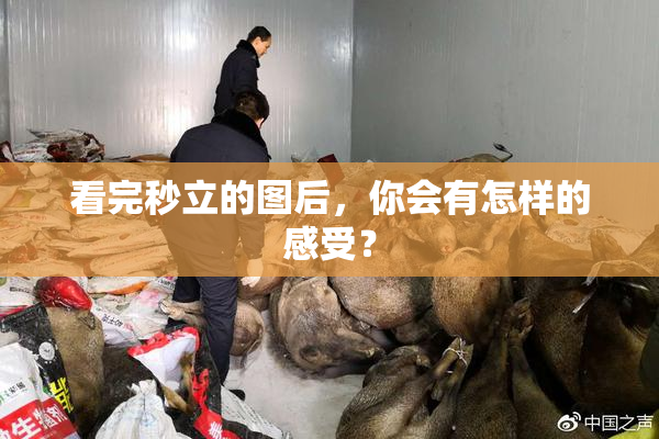 看完秒立的图后，你会有怎样的感受？