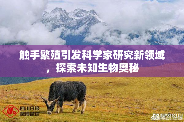 触手繁殖引发科学家研究新领域，探索未知生物奥秘