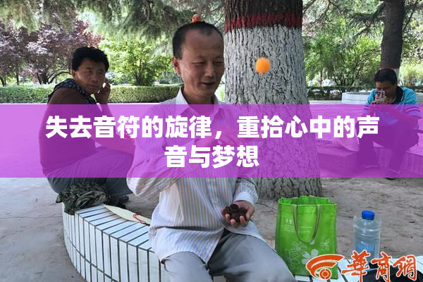 失去音符的旋律，重拾心中的声音与梦想