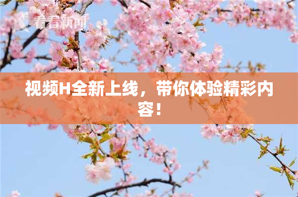 视频H全新上线，带你体验精彩内容！
