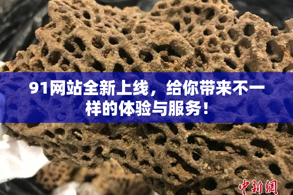 91网站全新上线，给你带来不一样的体验与服务！