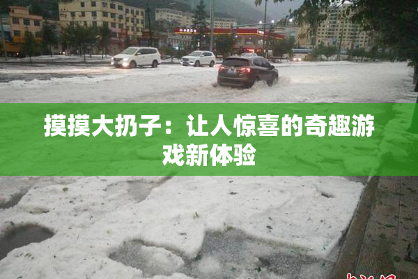 摸摸大扔子：让人惊喜的奇趣游戏新体验