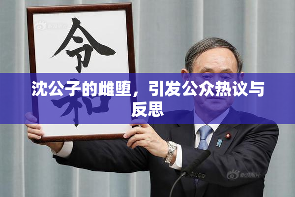 沈公子的雌堕，引发公众热议与反思