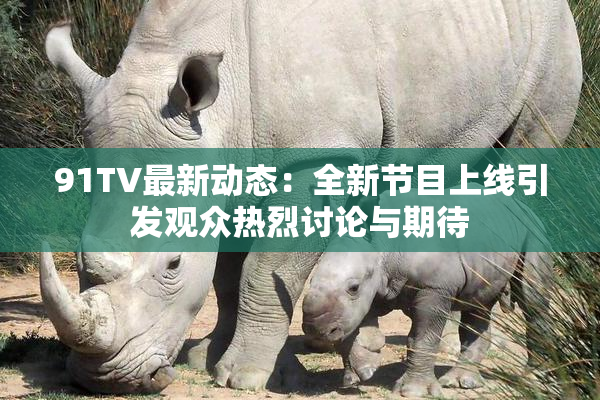 91TV最新动态：全新节目上线引发观众热烈讨论与期待