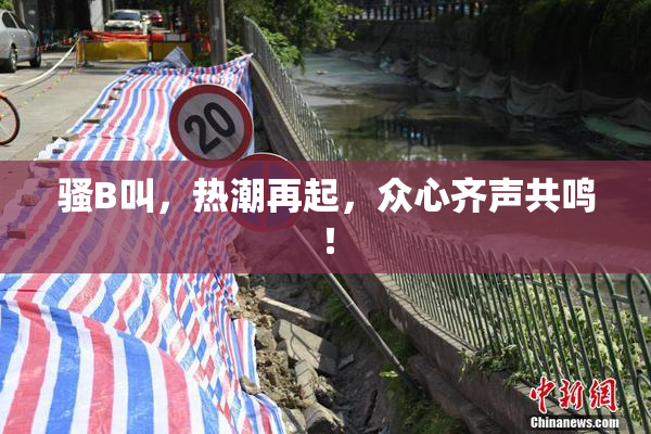 骚B叫，热潮再起，众心齐声共鸣！