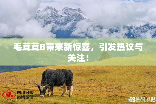 毛茸茸B带来新惊喜，引发热议与关注！