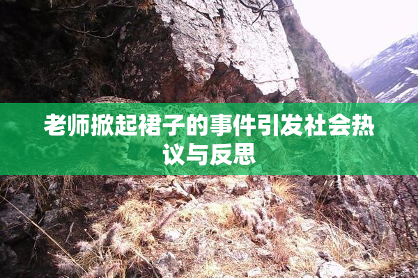老师掀起裙子的事件引发社会热议与反思