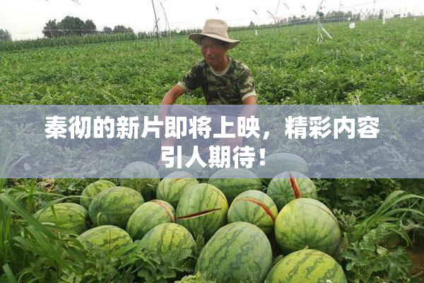 秦彻的新片即将上映，精彩内容引人期待！