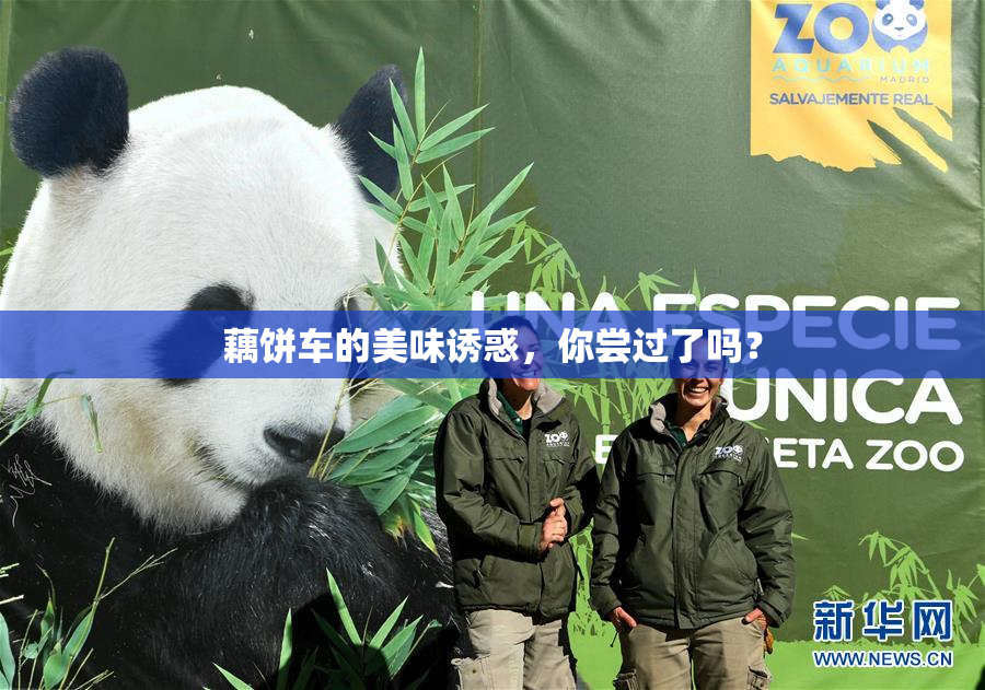 藕饼车的美味诱惑，你尝过了吗？