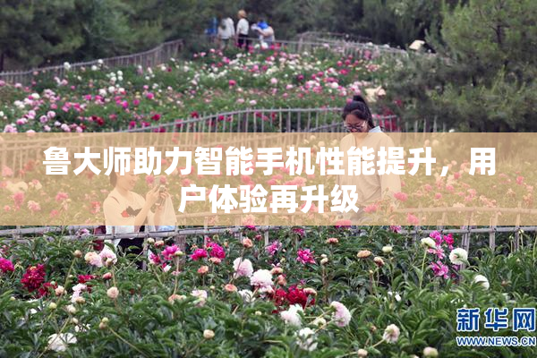 鲁大师助力智能手机性能提升，用户体验再升级